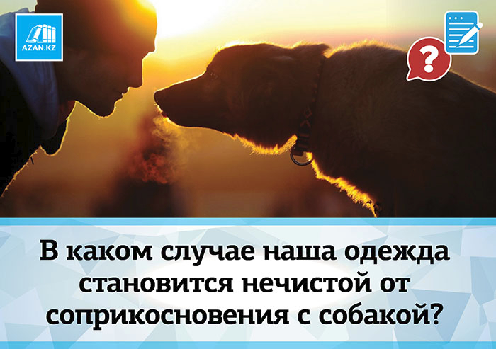 В каком случае наша одежда становится нечистой от соприкосновения с собакой?