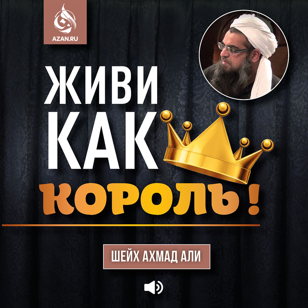 Живи как король