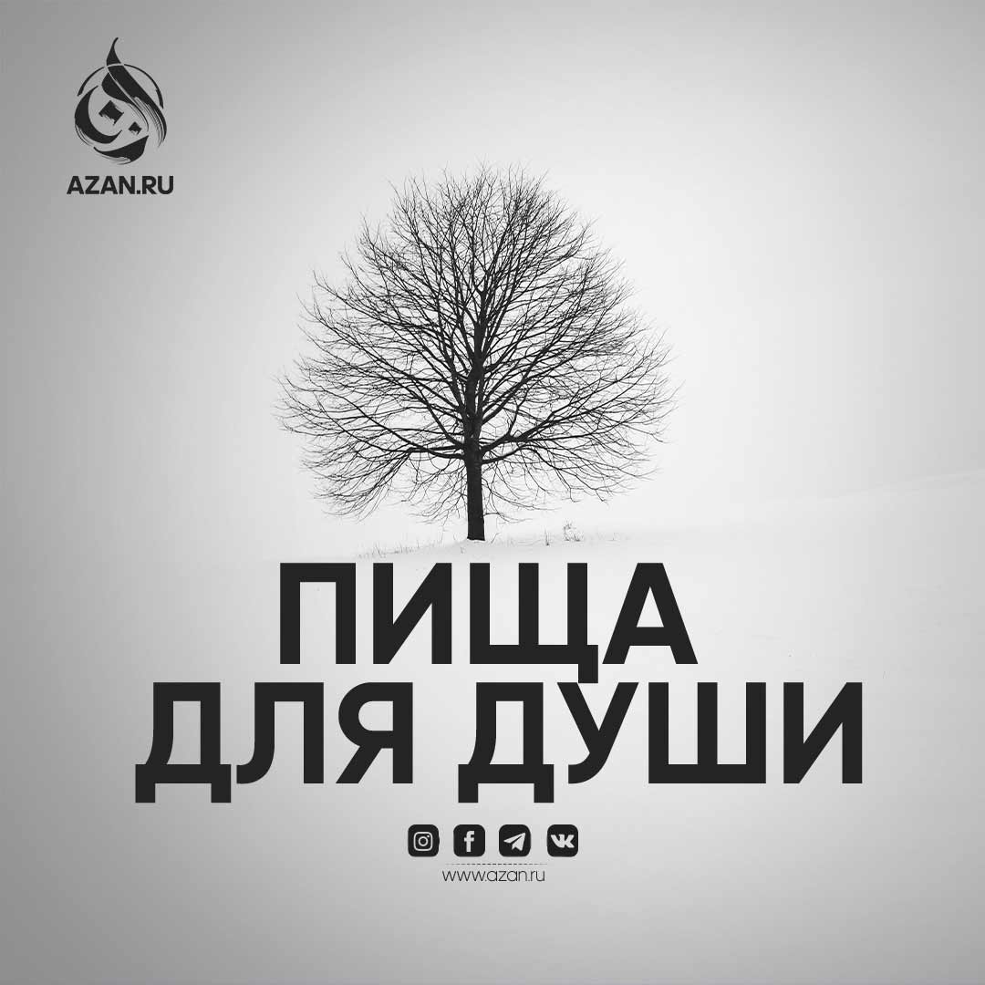 Пища для души