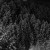 Name Surname