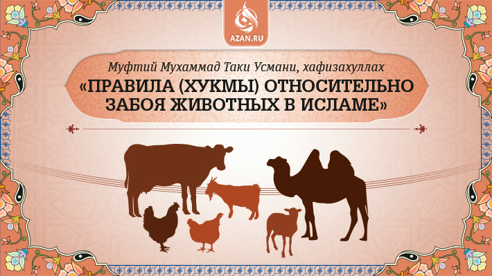 Муфтий Таки Усмани: Правила (хукмы) относительно забоя животных в Исламе