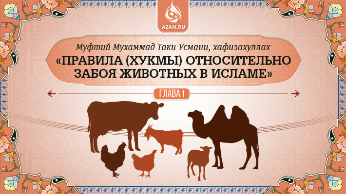 Введение