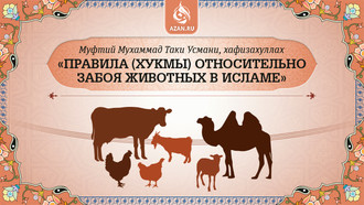 Муфтий Таки Усмани: Правила (хукмы) относительно забоя животных в Исламе