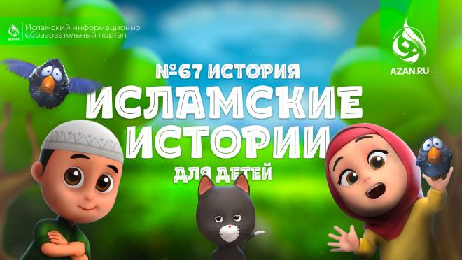 История №67: «Дружба с птицами»