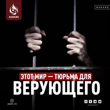 «Этот мир — тюрьма для верующего»