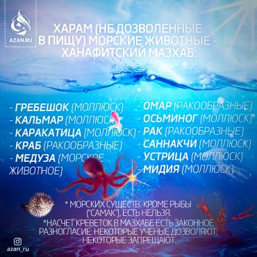 Харам (не дозволенные в пищу) морские животные – ханафитский мазхаб