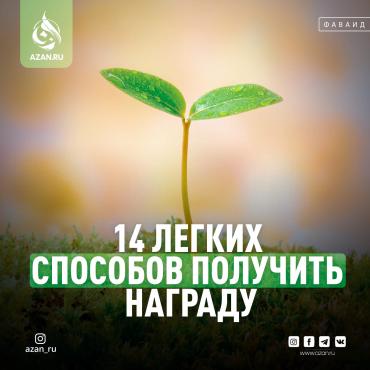 14 легких способов получить награду