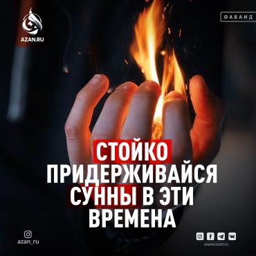 Стойко придерживайся сунны в эти времена