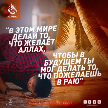 В этом мире делай то, что желает Аллах