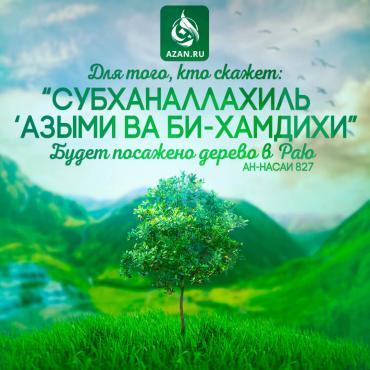 Для того, кто скажет: Субханаллахиль 'азыми ва би-хамдихи..