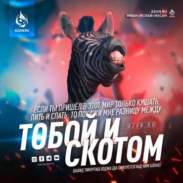 Если ты пришел в этот мир только кушать, пить и спать…