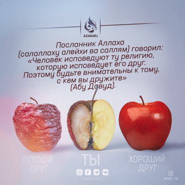 Хороший друг | Плохой друг