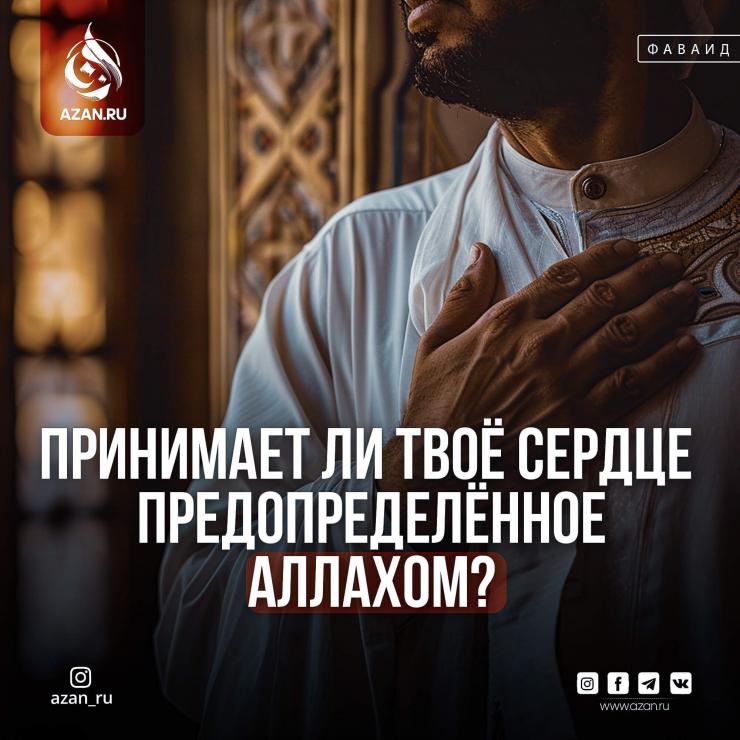 Принимает ли твоё сердце предопределённое Аллахом?