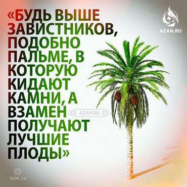 Будь выше завистников...