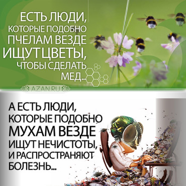 Есть люди, которые подобно пчелам...