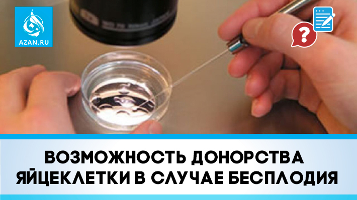 Возможность донорства яйцеклетки в случае бесплодия