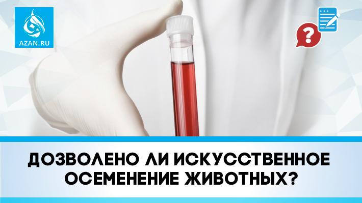 Дозволено ли искусственное осеменение животных?