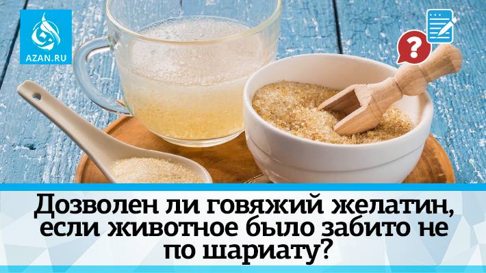 Дозволен ли говяжий желатин, если животное было забито не по шариату?