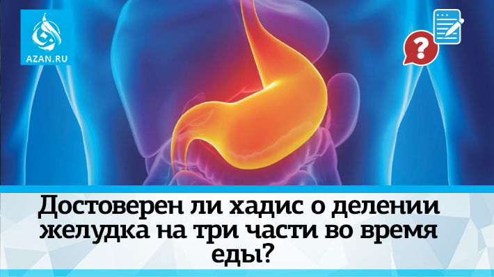 Достоверен ли хадис о делении желудка на три части во время еды?