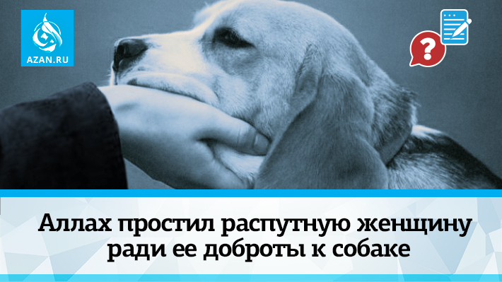 Аллах простил распутную женщину ради ее доброты к собаке