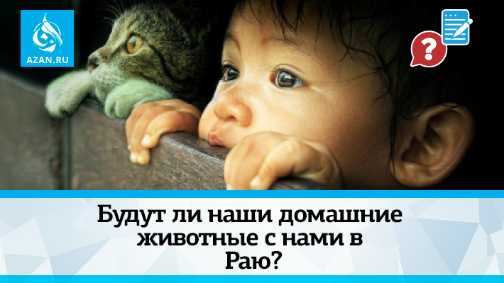 Будут ли наши домашние животные с нами в Раю?
