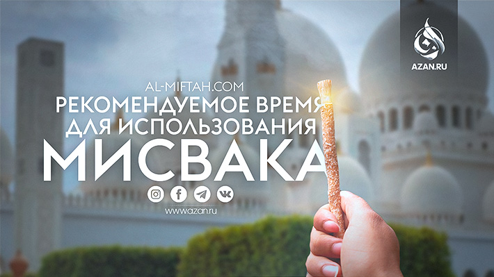 Рекомендуемое время для использования мисвака