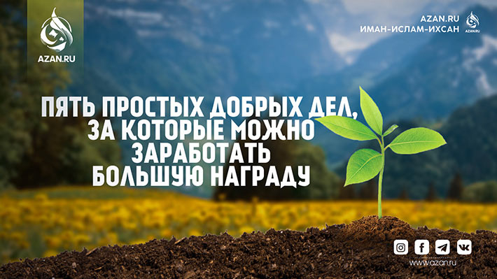 Пять простых добрых дел, за которые можно заработать большую награду