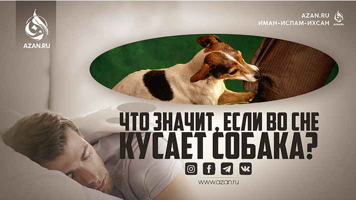 Исламский сонник: Что значит, если во сне кусает собака?