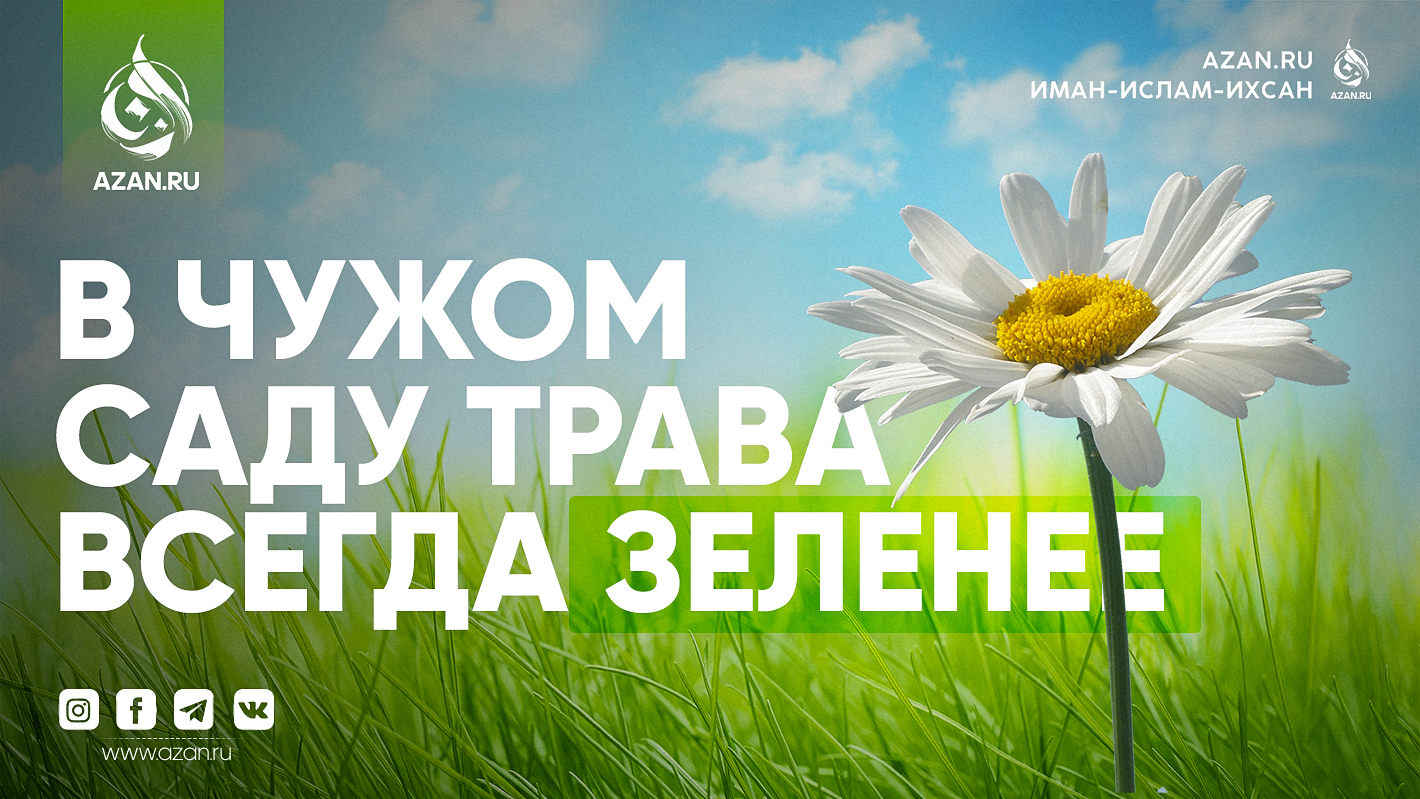 В чужом саду трава всегда зеленее