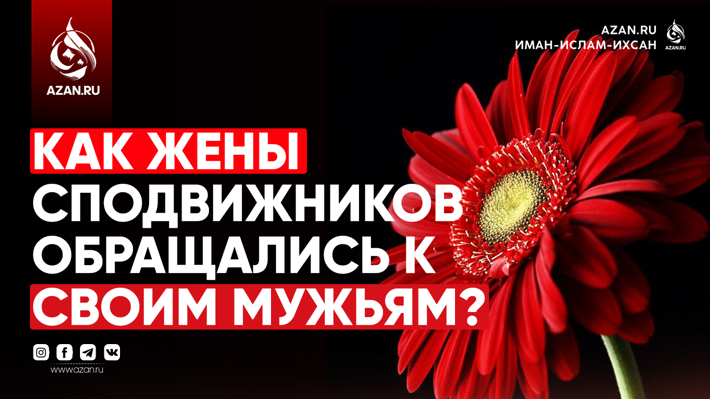 Как жены сподвижников обращались к своим мужьям?