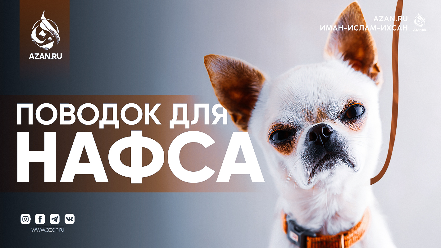 Поводок для нафса