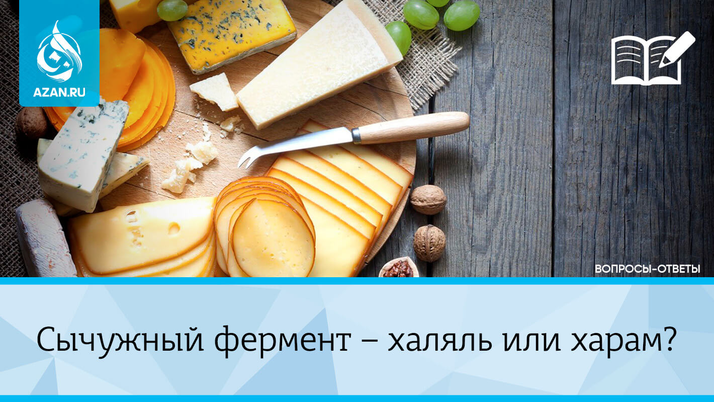 Сычужный фермент — халяль или харам?