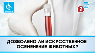 Дозволено ли искусственное осеменение животных?
