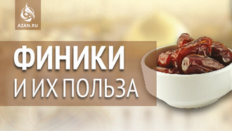 Финики и их польза