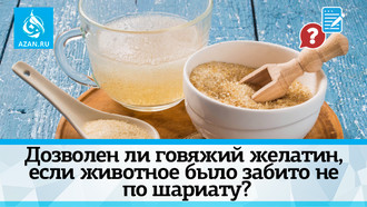 Дозволен ли говяжий желатин, если животное было забито не по шариату?