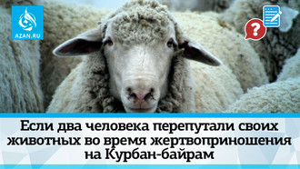 Если два человека перепутали своих животных во время жертвоприношения на Курбан-байрам