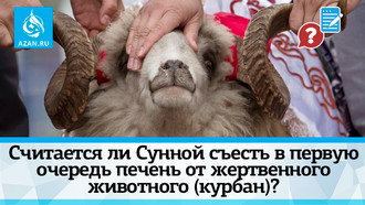 Считается ли Сунной съесть в первую очередь печень от жертвенного животного (курбан)?