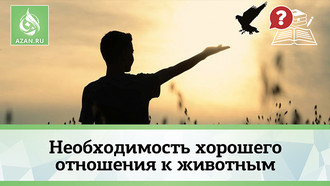 Необходимость хорошего отношения к животным