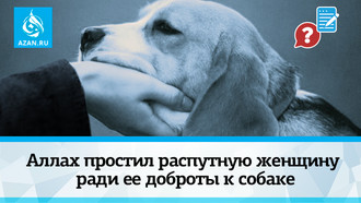 Аллах простил распутную женщину ради ее доброты к собаке