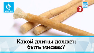 Какой длины должен быть мисвак?