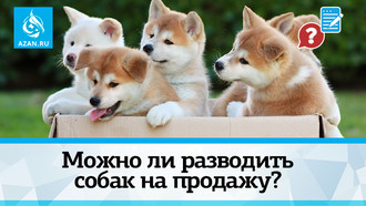 Можно ли разводить собак на продажу?