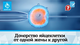 Донорство яйцеклетки от одной жены к другой