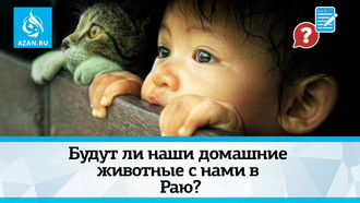 Будут ли наши домашние животные с нами в Раю?