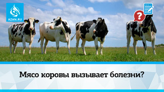 Мясо коровы вызывает болезни?