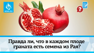 Правда ли, что в каждом плоде граната есть семена из Рая?