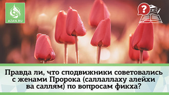 Правда ли, что сподвижники советовались с женами Пророка (саллаллаху алейхи ва саллям) по вопросам фикха?