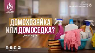 Домохозяйка или домоседка?