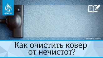 Как очистить ковер от нечистот?