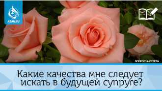 Какие качества мне следует искать в будущей супруге?