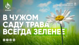 В чужом саду трава всегда зеленее